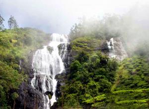 Arrival Cochin - Munnar