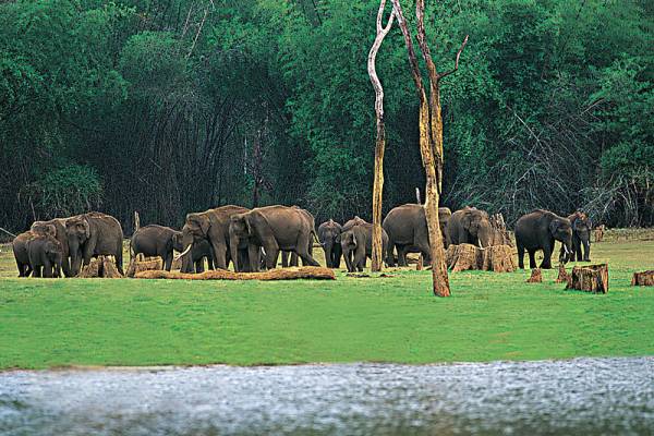 Thekkady - Kumarakom