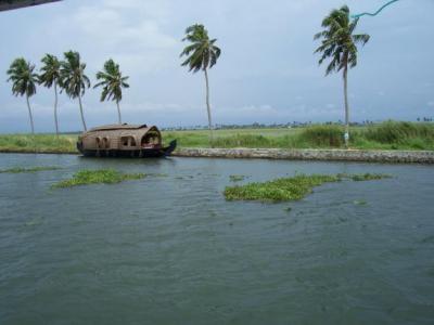 Backwater Paradise Tour